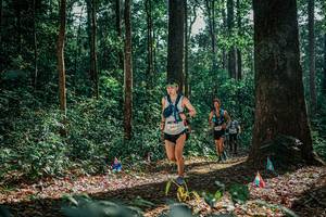 BIB: 
                            <button type="button" onclick="openModal(26080564)" class="btn btn-primary btn-sm float-right btn-popup" data-toggle="modal" data-target=".modal-high-quality">
                        <i class="fas fa-shopping-cart"></i> Add to Cart
                    </button>
                                            <button type="button" onclick="isThisMe(26080564, true)" class="btn btn-success btn-sm float-right btn-popup btn-isme hidden" data-toggle="tooltip" data-placement="bottom" title="นี่คือรูปของคุณใช่ไหม คลิกที่นี่เพื่อเอาเข้าอัลบั้ม">
                        <i class="fas fa-plus"></i> Add to album
                    </button>
                    <button type="button" onclick="isThisMe(26080564, false)" class="btn btn-warning btn-sm float-right btn-popup btn-isnotme hidden">
                        <i class="fas fa-ban"></i> Remove from album
                    </button>